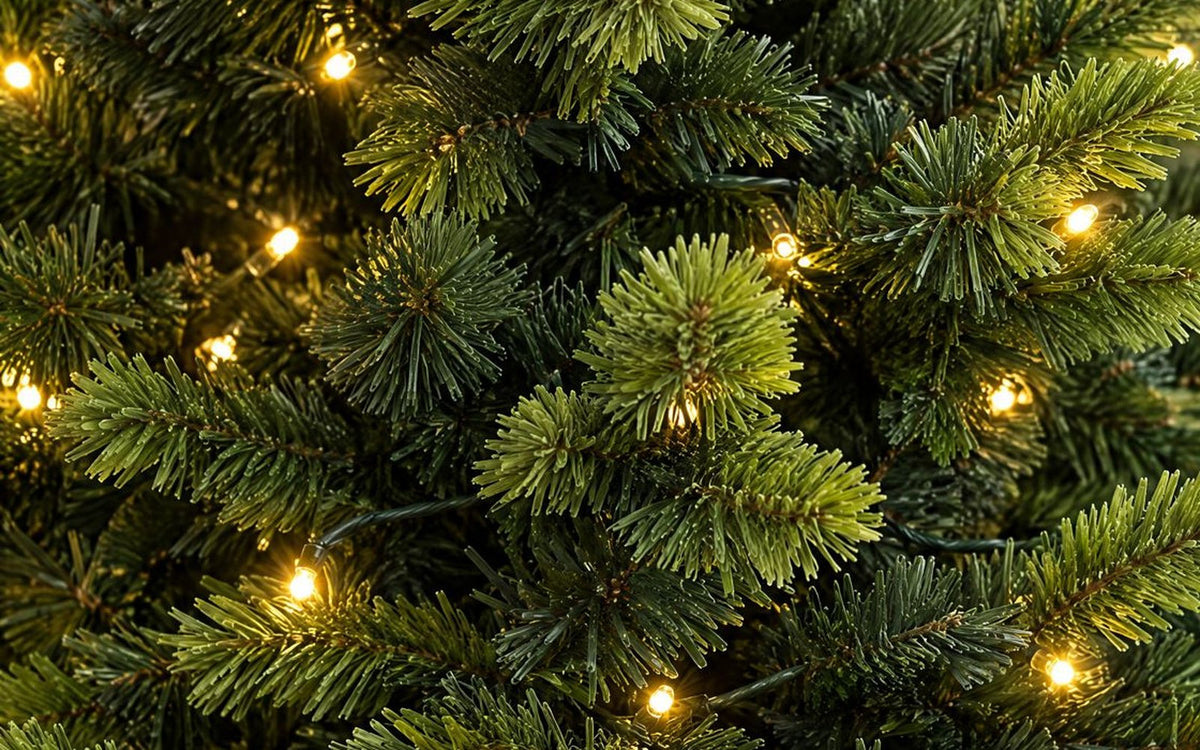 Warm white LEDs glowing among layered fir branches